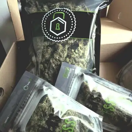 Gorilla Z Auto NFT Led