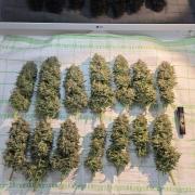 Amnesia 🧠