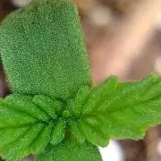 Titan F1 - Living Room 🏠