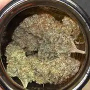 My First Seed to Harvest | Budget build