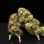 Hawaiian Bred Fire!!!