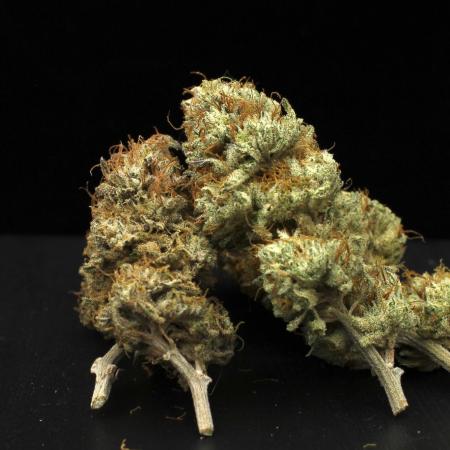 Hawaiian Bred Fire!!!