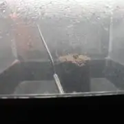 Second grow, validation