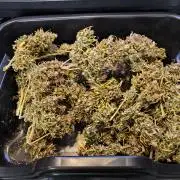 #2 NYC sour D. Auto