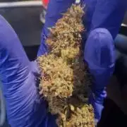 Validation #5 Sticky beast auto