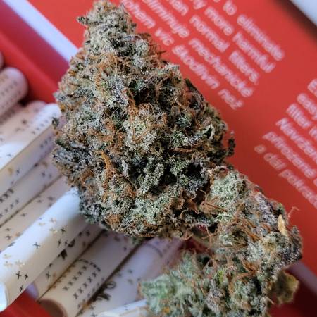 IndicoPiexEndGame#3 - Ethos Genetics