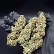 CONGO