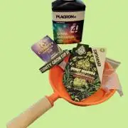 CampaCavallo e Sticky Broccoli on HGC26