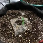 Mixed autos indoor