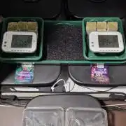 Think Tank & Chimera Cut