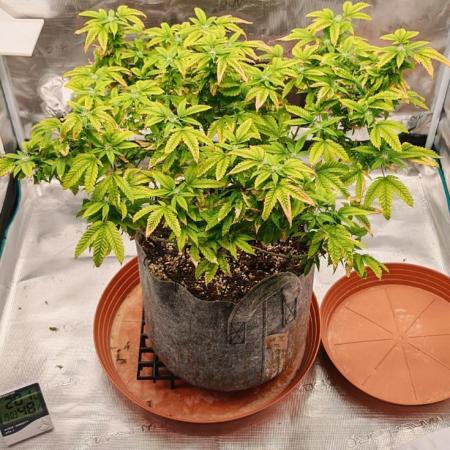 Tohle se nemělo stát...