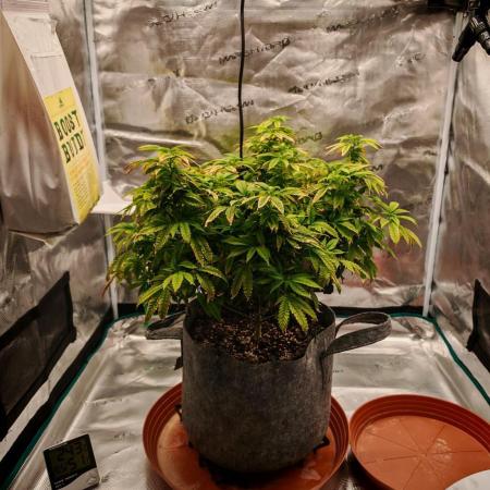 Tohle se nemělo stát...