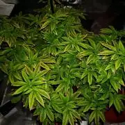 Tohle se nemělo stát...