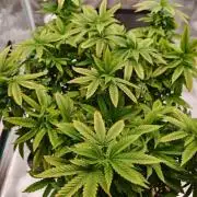 Tohle se nemělo stát...