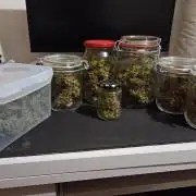 RQS vs Barney's (Auto)
