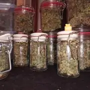 RQS vs Barney's (Auto)