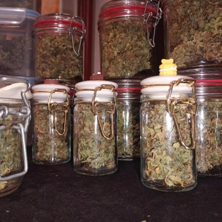 RQS vs Barney's (Auto)