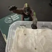 3 Sorten: Gorilla, Haze, C.Rainbow