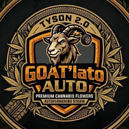 GOAT'lato Auto Outdoor