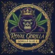 3 Sorten: Gorilla, Haze, C.Rainbow