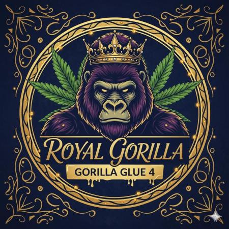 3 Sorten: Gorilla, Haze, C.Rainbow