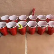 Mixed run