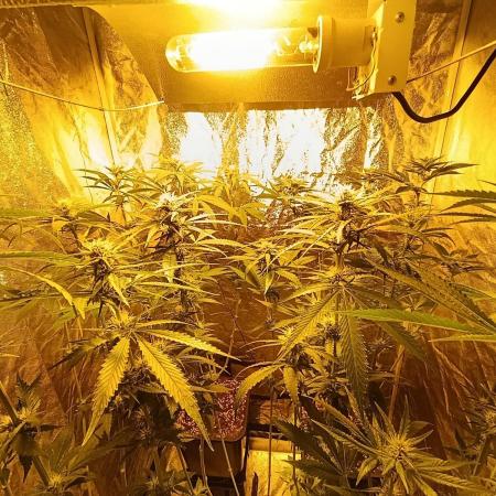 400Watt High Kick
