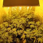 400Watt High Kick