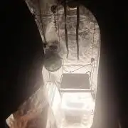 ng Soil - Advanced Seed