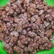 Welcome_Newbie_indoor