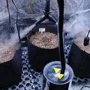 Welcome_Newbie_indoor