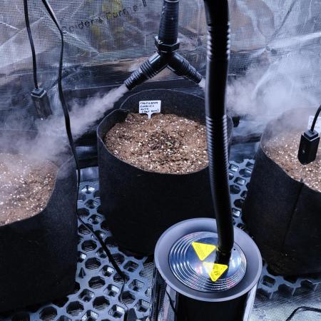 Welcome_Newbie_indoor