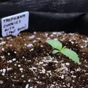 Welcome_Newbie_indoor