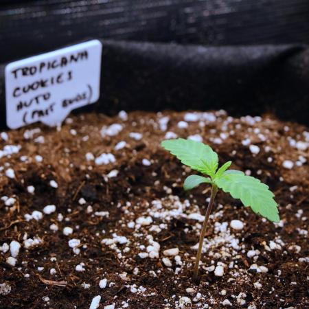 Welcome_Newbie_indoor