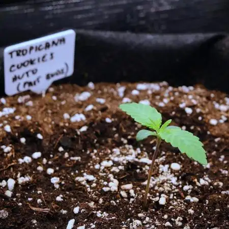 Welcome_Newbie_indoor