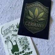 Seed supplier