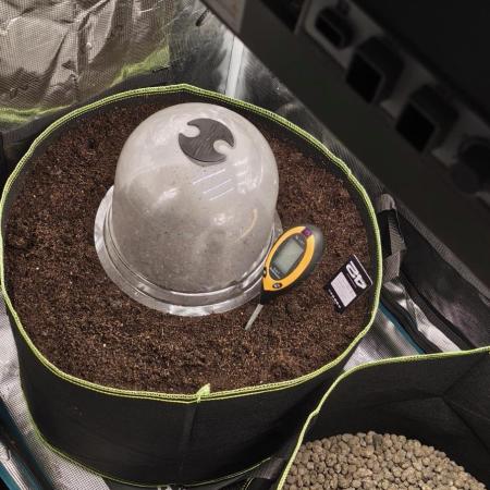 GrowmasterFlash big Pot Lemon Cherry