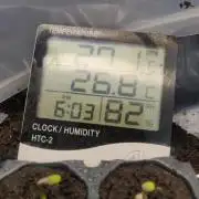 Frostbanger FB 11-12-25