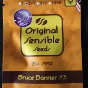 Bruce Banner#3