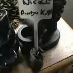 Nicole Hindu kush feminised 