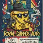 Royal Cheese Auto By RQS