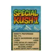Special Kush 1 By RQS