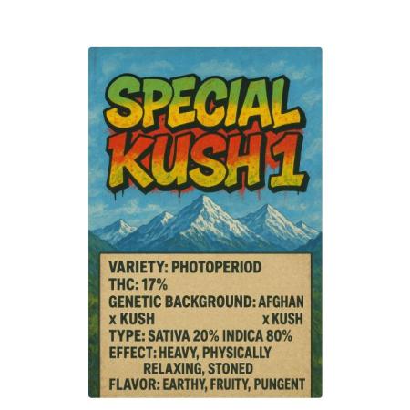 Special Kush 1 By RQS