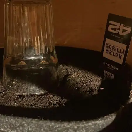 Canna-Community.Germany