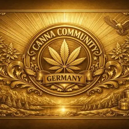 CCG x Sensi Seeds Grow