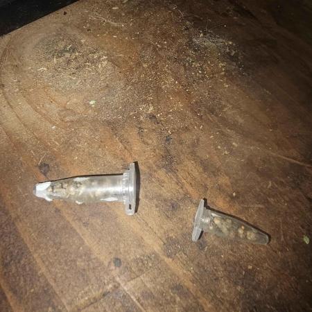 Anubis Unknow Strain lot