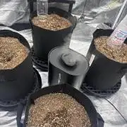 First grow
