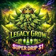 Copy Cat Super Drip S1