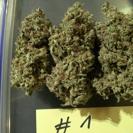 GG-I-1 Girl Scout Cookies