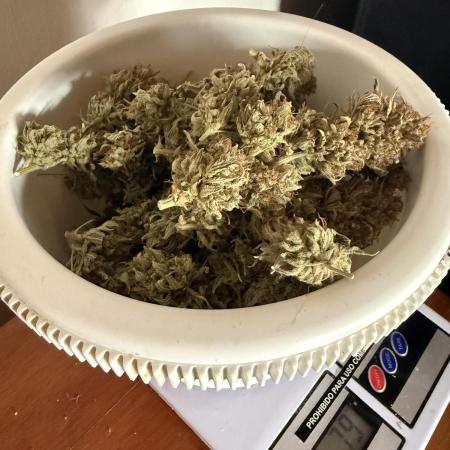Pineapple express auto 42 fast buds